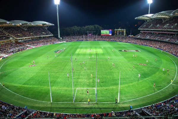 AFL Game at Adelaide Oval