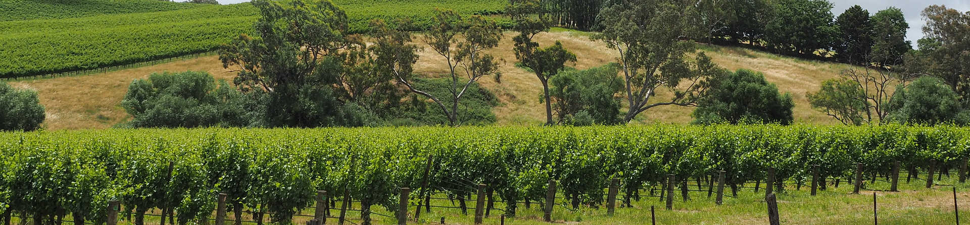 Why you should put Adelaide Hills on your bucket-list