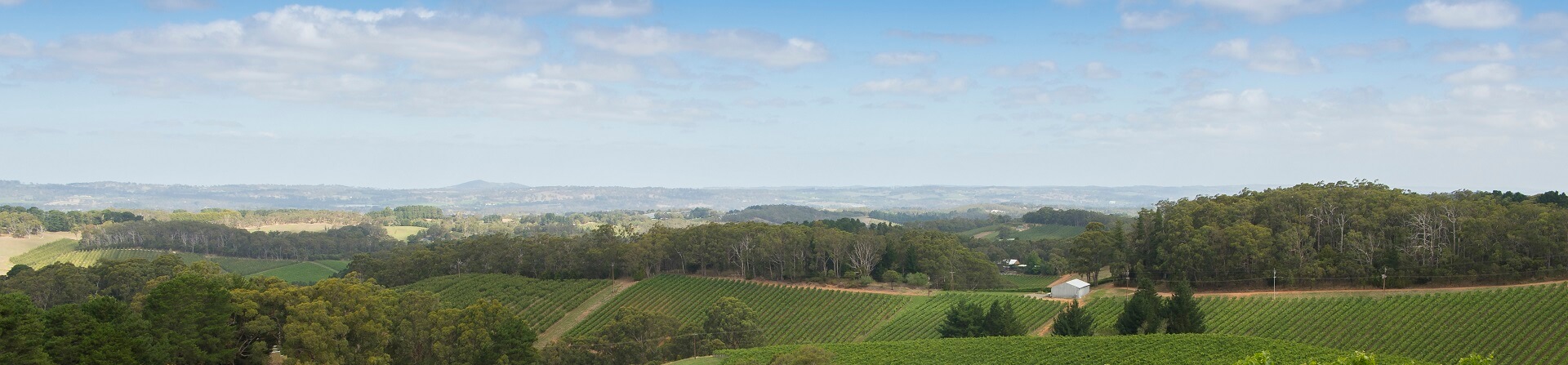 How far is Adelaide Hills from the city?