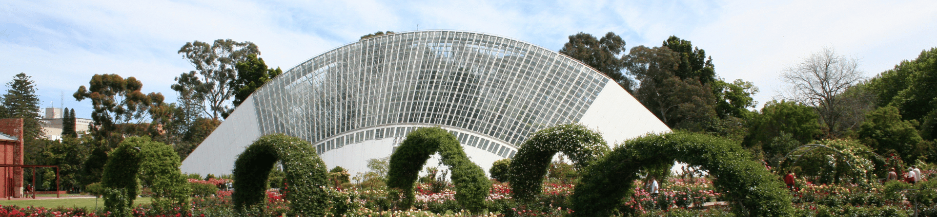 A guide to the Adelaide Botanic Gardens