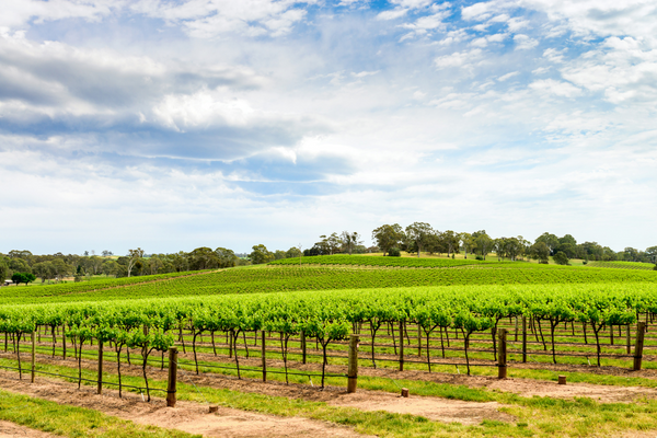 Barossa Valley