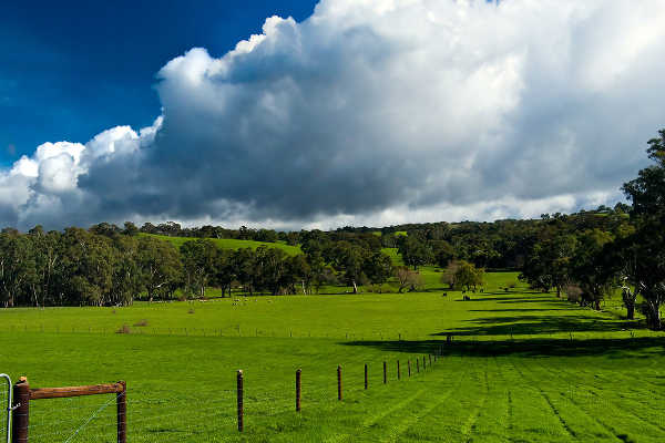 Adelaide Hills